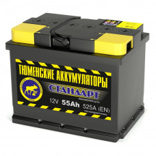 Аккумулятор Tyumen Battery Standard (DIN L2) 55 пр.